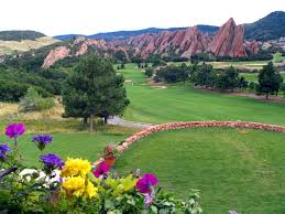 colorado gold field
