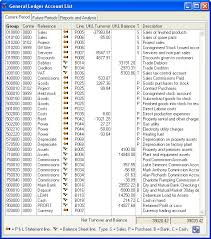 accounting ledger