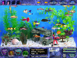 photos of fish