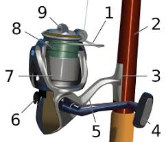 fish reel