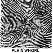 types fingerprints