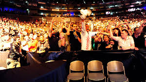 mma fans