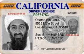 what is california's land mass