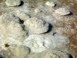 sea salt