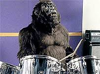 drumming gorilla