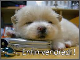 vendredi-chien.jpg