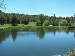 what county is montrose colorado in