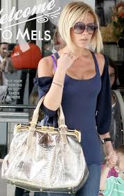 python handbags