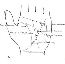 quiromancia