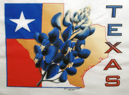 bluebonnet texas