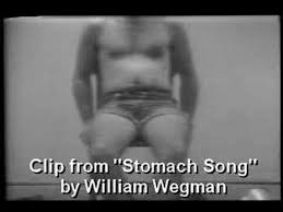 william wegman video