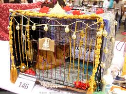 cat show cages