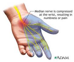 nerves
