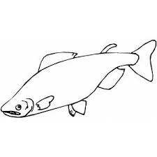 fraction printables for 1st grade