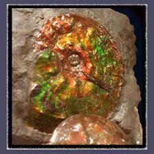 ammolite stones