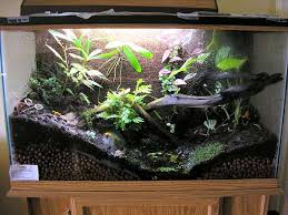 terrariums for turtles