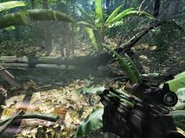 crysis max