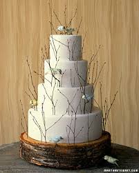 birch twigs
