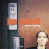 Jim Carroll - Falling Down Laughing