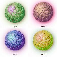 topic include: HPV Vaccine