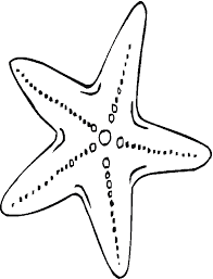 dibujos de mar