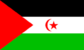 اعلام الدول العربية Sahara-occidental-drapeau