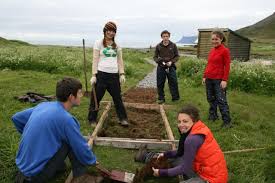 volunteer work