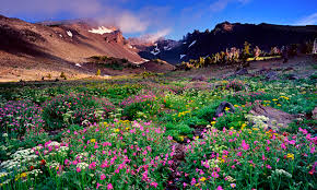 oregon photographs