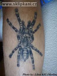 poecilotheria subfusca