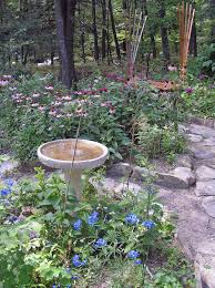 butterfly garden photos