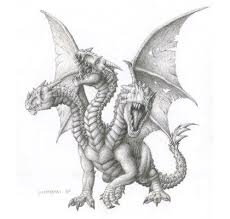 dragon pictures