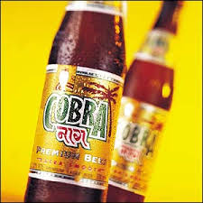 south african beer