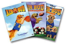 bud air