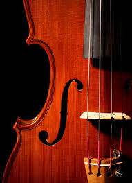 violins