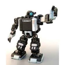 sobots