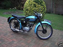 tiger cub triumph