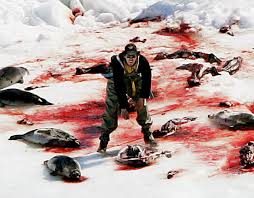 canada hunting