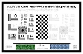 crossword puzzles new zealand printable