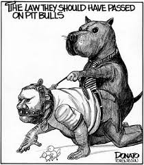 cartoon pitbull