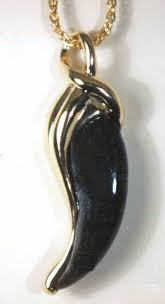 bear claw jewelry