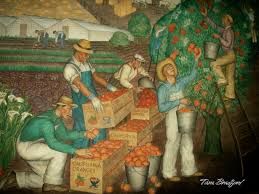 california oranges