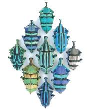 christopher marley insect art