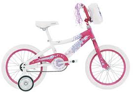 bicycle training wheel
