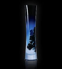 armani code woman