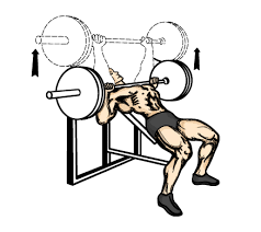 barbell bench