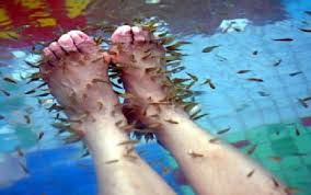 fish therapy