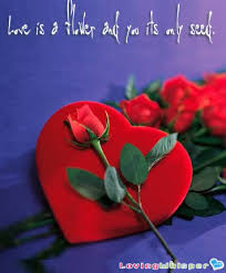 flower of love