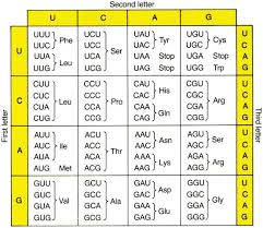 genetic code table