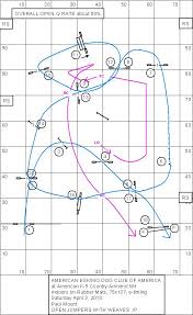 dog agility course layout