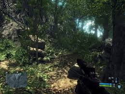 crysis max